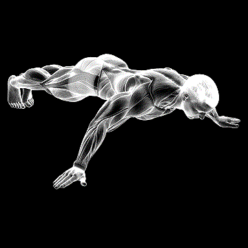 Iron Cross Plank demonstration