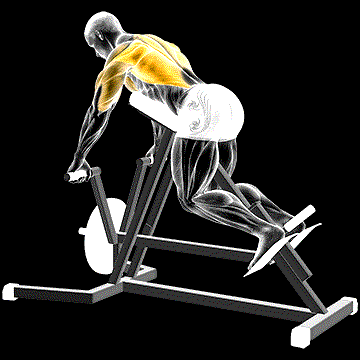 Lever Lying T-Bar Row demonstration