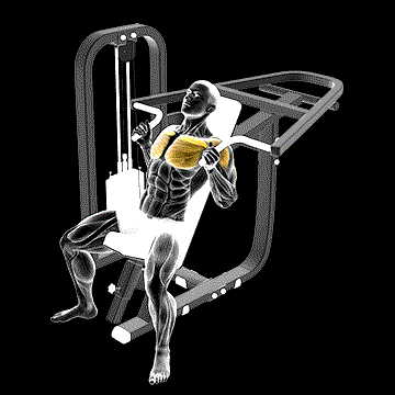 Lever Incline Hammer Chest Press demonstration