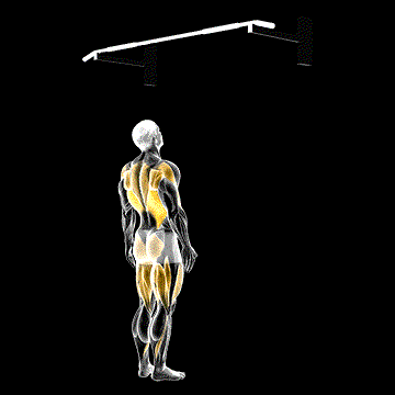Jumping Pull-up demonstration