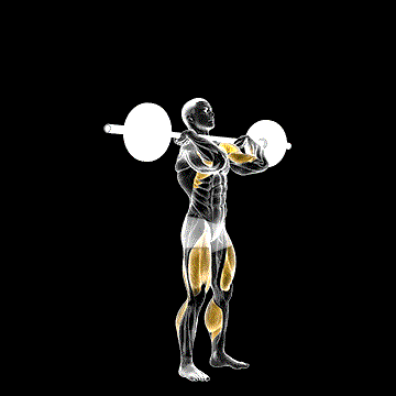 Push Press demonstration