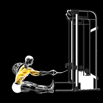 Cable One-Arm Twisting Seated Row demonstration