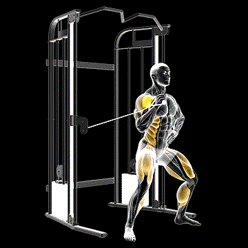 Cable Twisting Overhead Press demonstration
