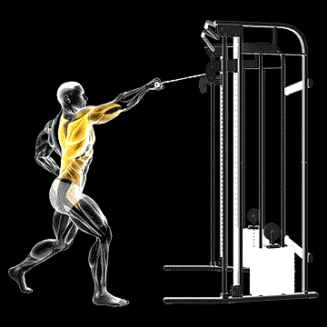 Cable Twisting Standing High Row demonstration