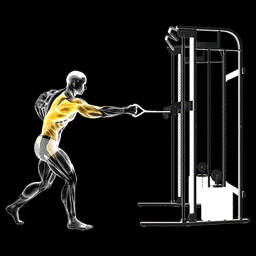Cable Twisting Standing Row demonstration