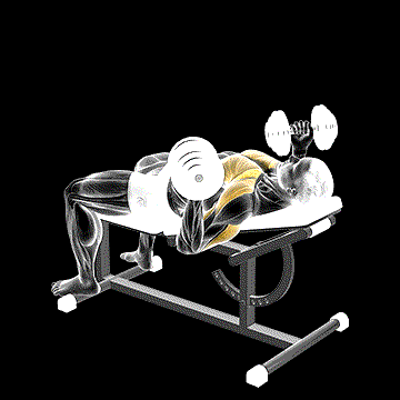 Dumbbell Incline Reverse-Grip 30 Degrees Bench Press demonstration