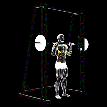 Smith Standing Shoulder Press demonstration