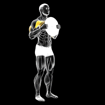 Standing Plate Press demonstration