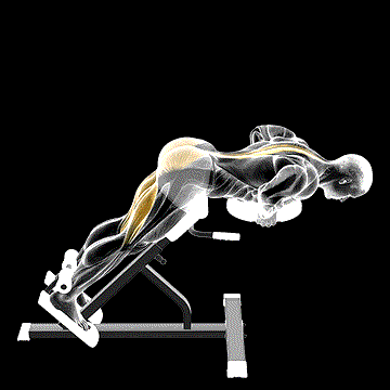 Plate Hyperextension demonstration