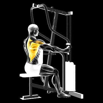Lever One-Arm Seated Row demonstration