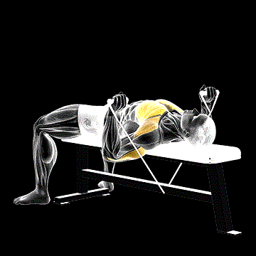 Band Bench Press demonstration
