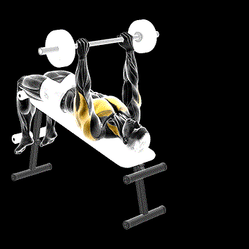 Barbell Decline Pullover demonstration