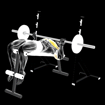 Barbell Reverse-Grip Decline Bench Press demonstration