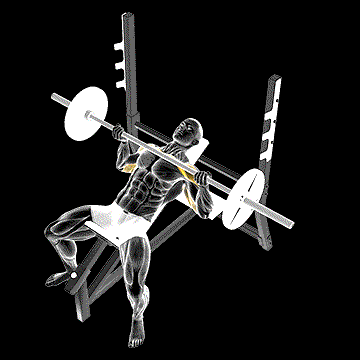 Barbell Reverse-Grip Incline Bench Press demonstration