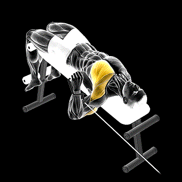 Cable Decline One-Arm Press demonstration