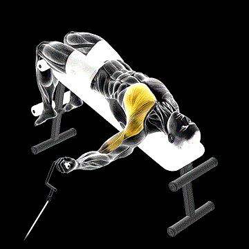 Cable One-Arm Decline Chest Fly demonstration