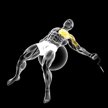Cable One-Arm Fly on Exercise Ball demonstration