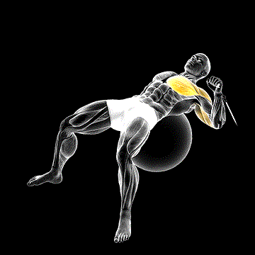 Cable One-Arm Press on Exercise Ball demonstration