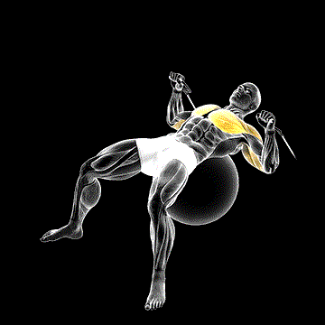 Cable Press on Exercise Ball demonstration