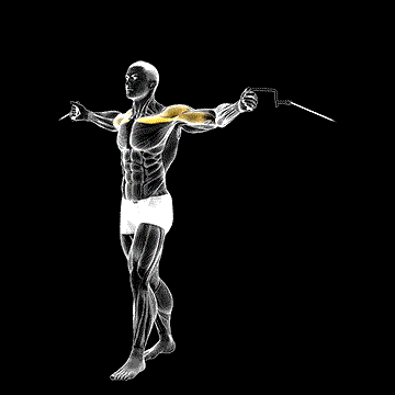 Cable Upper Chest Crossover demonstration