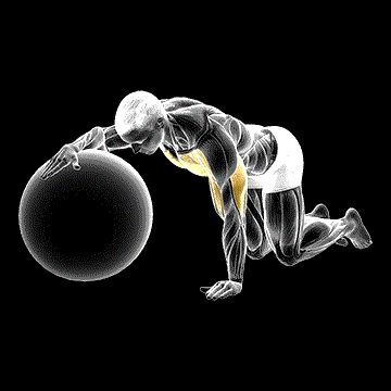 Chest Stretch (w/ Exercise Ball) demonstration