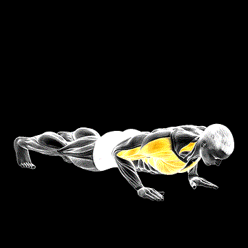 Clap Push-Up demonstration