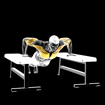 Drop Push-Up demonstration
