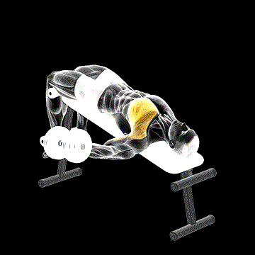 Dumbbell Decline One-Arm Fly demonstration