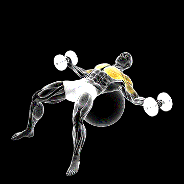 Dumbbell Fly on Exercise Ball demonstration