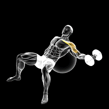 Dumbbell Incline One-Arm Fly on Exercise Ball demonstration