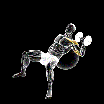 Dumbbell Incline One-Arm Press (w/ Exercise Ball) demonstration