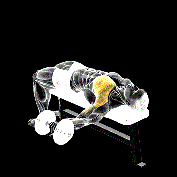 Dumbbell One-Arm Bench Fly demonstration