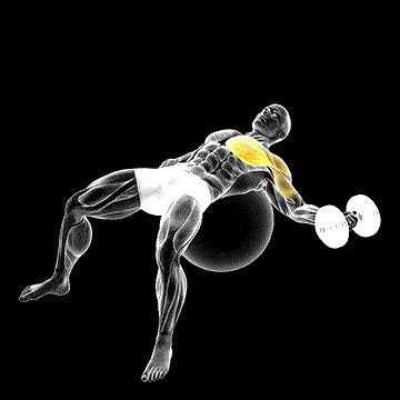 Dumbbell One-Arm Chest Fly on Exercise Ball demonstration