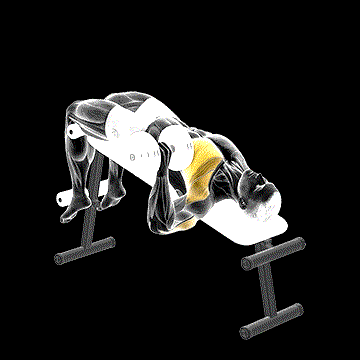Dumbbell One-Arm Decline Chest Press demonstration