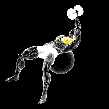 Dumbbell One-Arm Fly on Exercise Ball demonstration