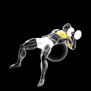 Dumbbell One-Arm Press on Exercise Ball demonstration
