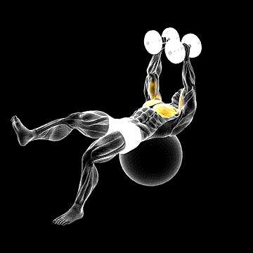 Dumbbell One-Leg Fly on Exercise Ball demonstration