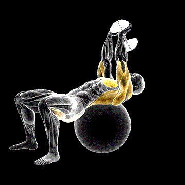 Dumbbell Pullover Hip Extension on Exercise Ball demonstration