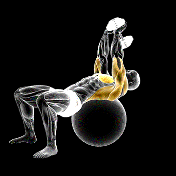Dumbbell Pullover on Exercise Ball demonstration