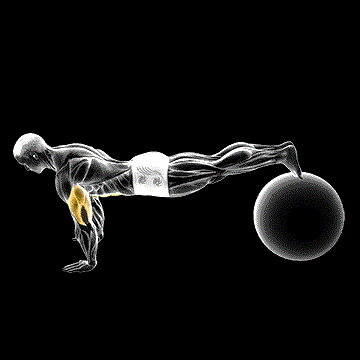 Exercise Ball Pike Push-up demonstration