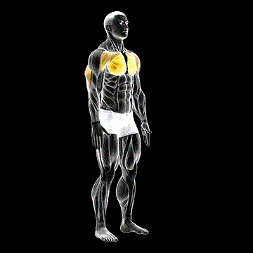 Isometric Chest Squeeze demonstration