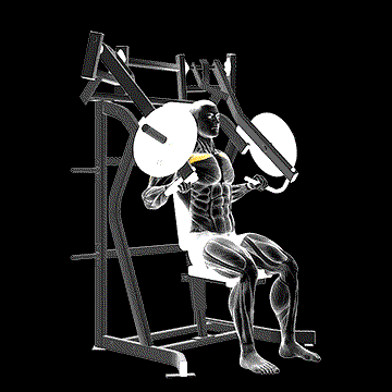 Leverage Incline Chest Press demonstration