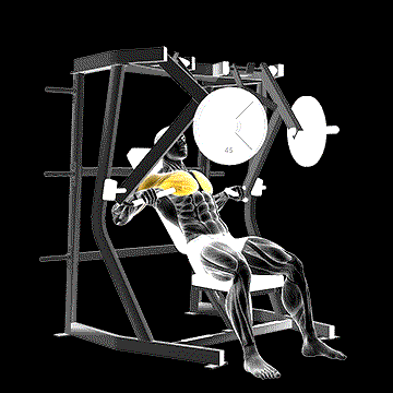 Lever Decline Chest Press demonstration