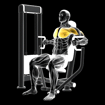 Machine Inner Chest Press demonstration