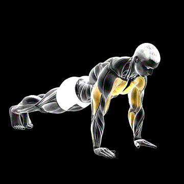 Plyo Push-Up demonstration