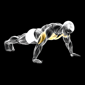 Wide Hand Push-up demonstration