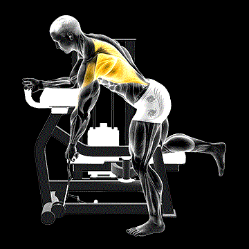 Lever Unilateral Row demonstration
