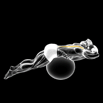 Back Extension on Exercise Ball demonstration
