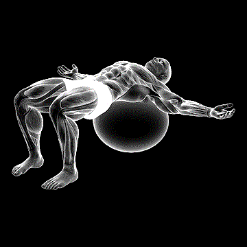 Back Relaxation demonstration