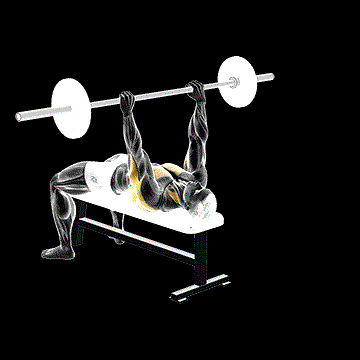 Barbell Bent-Arm Pullover demonstration